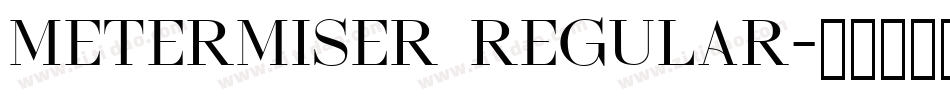Metermiser Regular字体转换